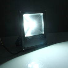 Load image into Gallery viewer, 2700LM Lamp, AC 85-265V, 30W/2700LM White, 30W/2700LM Warm White
