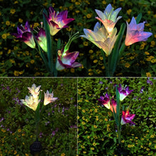 Load image into Gallery viewer, Simulated Lily Flower 4 Heads Solar Powered Outdoor IP55 Waterproof LED Decorative Lawn Lamp, White Light, White Light