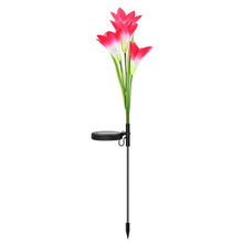 Load image into Gallery viewer, Simulated Lily Flower 4 Heads Solar Powered Outdoor IP55 Waterproof LED Decorative Lawn Lamp, White Light, White Light