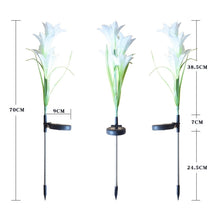 Load image into Gallery viewer, Simulated Lily Flower 4 Heads Solar Powered Outdoor IP55 Waterproof LED Decorative Lawn Lamp, White Light, White Light