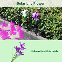 Load image into Gallery viewer, Simulated Lily Flower 4 Heads Solar Powered Outdoor IP55 Waterproof LED Decorative Lawn Lamp, White Light, White Light