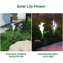 Load image into Gallery viewer, Simulated Lily Flower 4 Heads Solar Powered Outdoor IP55 Waterproof LED Decorative Lawn Lamp, White Light, White Light