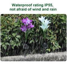 Load image into Gallery viewer, Simulated Lily Flower 4 Heads Solar Powered Outdoor IP55 Waterproof LED Decorative Lawn Lamp, White Light, White Light