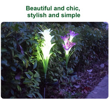 Load image into Gallery viewer, Simulated Lily Flower 4 Heads Solar Powered Outdoor IP55 Waterproof LED Decorative Lawn Lamp, White Light, White Light