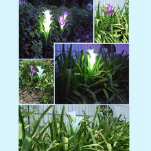 Load image into Gallery viewer, Simulated Lily Flower 4 Heads Solar Powered Outdoor IP55 Waterproof LED Decorative Lawn Lamp, White Light, White Light