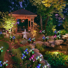 Load image into Gallery viewer, Simulated Lily Flower 4 Heads Solar Powered Outdoor IP55 Waterproof LED Decorative Lawn Lamp, White Light, White Light