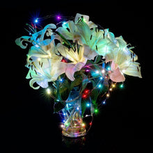 Load image into Gallery viewer, USB Powered SMD-0603 Festival Lamp / Decoration Light Strip(Blue White Light), LED1001LG, LED1001LW