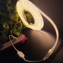 Load image into Gallery viewer, 10m SMD 2835 1200 LEDs Strip Light, AC 220V-240V, EU Plug, 10m