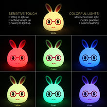 Load image into Gallery viewer, Happy Rabbit Creative Touch 3D LED Decorative Night Light, USB Charging Version