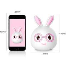 Load image into Gallery viewer, Happy Rabbit Creative Touch 3D LED Decorative Night Light, USB Charging Version