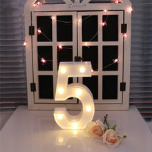 Load image into Gallery viewer, Dry Battery Powered Warm White Standing Hanging Holiday Light, LED6214A, LED6214B, LED6214C, LED6214D, LED6214E, LED6214F, LED6214G, LED6214H, LED6214J, LED6214K
