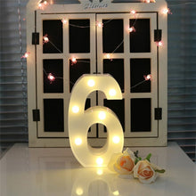 Load image into Gallery viewer, Dry Battery Powered Warm White Standing Hanging Holiday Light, LED6214A, LED6214B, LED6214C, LED6214D, LED6214E, LED6214F, LED6214G, LED6214H, LED6214J, LED6214K
