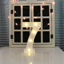 Load image into Gallery viewer, Dry Battery Powered Warm White Standing Hanging Holiday Light, LED6214A, LED6214B, LED6214C, LED6214D, LED6214E, LED6214F, LED6214G, LED6214H, LED6214J, LED6214K