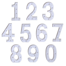 Load image into Gallery viewer, Dry Battery Powered Warm White Standing Hanging Holiday Light, LED6214A, LED6214B, LED6214C, LED6214D, LED6214E, LED6214F, LED6214G, LED6214H, LED6214J, LED6214K