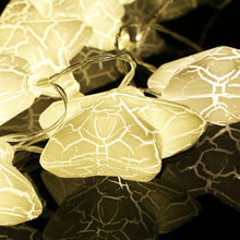 Load image into Gallery viewer, 20 LEDs Teenage Style Warm Fairy Decorative Lamp for Christmas, Wedding, Bedroom, Cracked Star