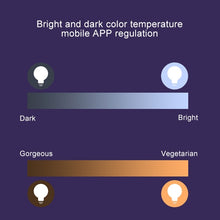 Load image into Gallery viewer, 14 LEDs 3000K+RGB 1050 LM Works with Alexa &amp; Google Home, AC 230V