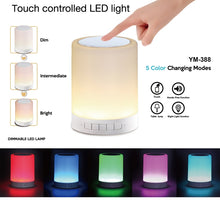 Load image into Gallery viewer, with LED Light &amp; Handle, Support AUX IN &amp; Hands-free Answer &amp; TF Card, 388