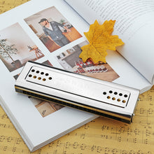 Load image into Gallery viewer, Swan SW24-12A 24-holes Double-sided Harmonica Beginner Polyphony Box Adult Children Beginners Performance, SW24-12A 24-holes Polyphonic Harmonica