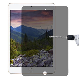 0.33mm 9H 2.5D Privacy Anti-glare Explosion-proof Tempered Glass Film for iPad mini 3 / 2 / 1