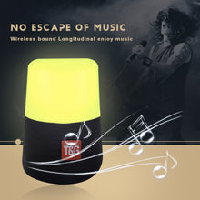 Load image into Gallery viewer, T&amp;G TG168 Portable Wireless Bluetooth V5.0 Stereo Speaker with Handle, Built-in MIC, Support Flashing LED Light &amp; TF Card &amp; U Disk &amp; AUX IN &amp; FM