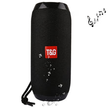 Load image into Gallery viewer, with Built-in MIC, Support Hands-free Calls &amp; TF Card &amp; AUX IN &amp; FM, Bluetooth Distance: 10m, TG117, TG1127