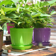 Load image into Gallery viewer, 10 PCS Imitation Wooden Barrel Plastic Resin Flower Pot with Tray, Top Diameter: 16cm, Height: 13.5cm, Top Diameter: 16cm