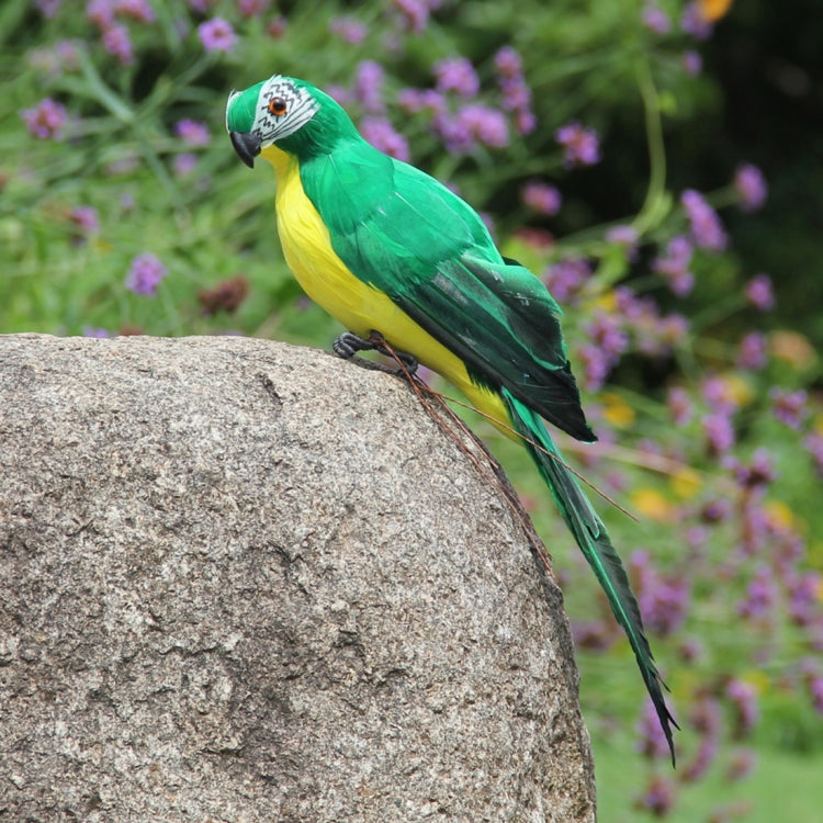 35cm Simulation Parrot Simulation Macaw Horticultural Decoration, 35cm (Green), 35cm (Blue), 35cm (Red), 35cm (Rose Red), 35cm (White), 35cm (Yellow)