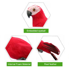Load image into Gallery viewer, 35cm Simulation Parrot Simulation Macaw Horticultural Decoration, 35cm (Red), 35cm (Rose Red), 35cm (White), 35cm (Yellow), 35cm (Green), 35cm (Blue)
