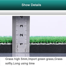 Load image into Gallery viewer, Indoor Golf Practice Mat EVA Materials Golf Exercise Mat with TEE Regular Edition, Size: 50*80cm