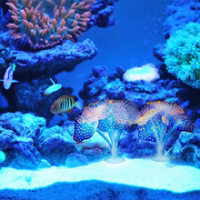 Load image into Gallery viewer, Aquarium Articles Decoration Silicone Simulation Fluorescent Sucker Jellyfish, Size: 10*10*9cm