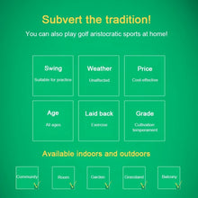 Load image into Gallery viewer, PGM Golf Training Aids Indoor Sports Hitting Practice Net 2m