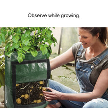 Load image into Gallery viewer, 10 Gallons Potato Planting PE Bags Vegetable Planting Grow Bags Farm Garden Supplies, Size: 35cm x 50cm, 35cm x 50cm