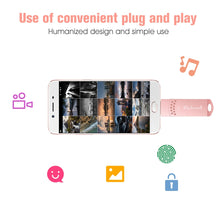 Load image into Gallery viewer, Richwell 3 in 1 128G Type-C + Micro USB + USB 3.0 Metal Flash Disk with OTG Function