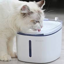 Load image into Gallery viewer, Original Xiaomi Youpin 2 PCS / Set Petoneer FS040 Pet Drinking Fountain Filter Element, Filter Element FS040