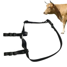 Load image into Gallery viewer, V34/V44 Cattle Locator Set Animal Tracking Anti-lost Device GPS Positioning Collar, For Cattle