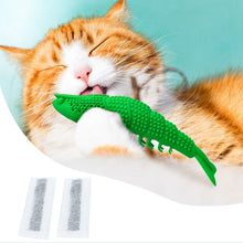 Load image into Gallery viewer, Catnip Fish Bite Teething Stick Funny Cat Toy Pet Toothbrush, Catnip Fish