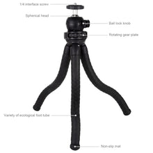 Load image into Gallery viewer, PULUZ Mini Octopus Flexible Tripod Holder with Ball Head for SLR Cameras, GoPro, Cellphone, Size:30cmx5cm, 30cm Tripod