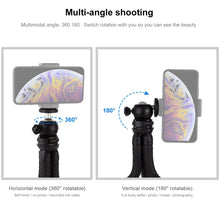Load image into Gallery viewer, PULUZ Mini Octopus Flexible Tripod Holder with Ball Head for SLR Cameras, GoPro, Cellphone, Size:30cmx5cm, 30cm Tripod