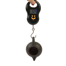 Load image into Gallery viewer, LCD Portable Electronic Handheld Hanging Digital Scale, Excluding Batteries, LCD Portable