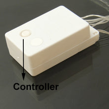 Load image into Gallery viewer, For Christmas Party, 100 LED, 8 Display Modes,  AC 220V