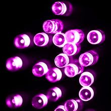 Load image into Gallery viewer, For Christmas Party, 30 LED,  2-Mode Flash, Battery Powered, 3m Blue Light, 3m Warm White, 3m White Light, 3m Pink Light, 3m Green Light, 3m Purple Light, 3m Yellow Light