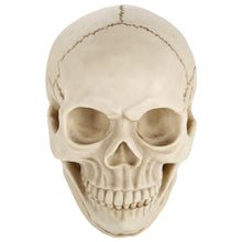 Load image into Gallery viewer, Skull Head Hallowmas Prop Gadget Display, Size: 19(L) x 13(W) x 14cm(H), Skull Head