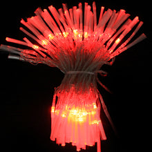 Load image into Gallery viewer, 100 LED RGB Light with Controller, Flashing / Fading / Chasing Effect