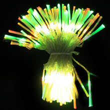 Load image into Gallery viewer, 100 LED RGB Light with Controller, Flashing / Fading / Chasing Effect