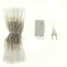 Load image into Gallery viewer, 100 LED RGB Light with Controller, Flashing / Fading / Chasing Effect