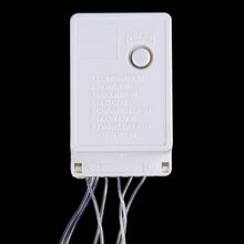 Load image into Gallery viewer, 100 LEDs with End Joint &amp; 8 Display Modes Controller for Christmas Party, AC 110V, US Plug, 100 LEDs AC 110V(Colorful Light), 100 LEDs AC 110V(White Light), 100 LEDs AC 110V(Red Light), 100 LEDs AC 110V(White Light+Blue Light)                          ...