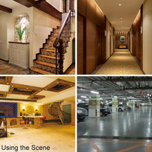 Load image into Gallery viewer, TR-8011 AC 220-240V Light Control Sensor Automatic Light DIP Switch, Detection Range: 10m