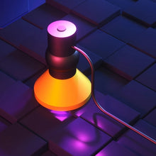 Load image into Gallery viewer, BOERUI 10W High Power USB UV Lamp