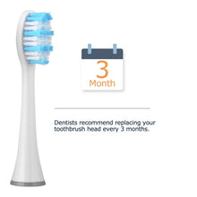 Load image into Gallery viewer, 4 PCS D903/D904 Replacement Brush Heads for Mornwel D01, Black, White