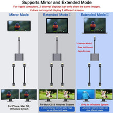 Load image into Gallery viewer, ZS-SGSHDMI USB-C / Type-C to Dual HDMI Adapter, USB-C / Type-C to Dual HDMI